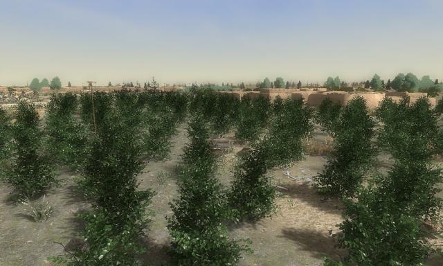 blogentry-6-000701000 1282138430_thumb.jpg