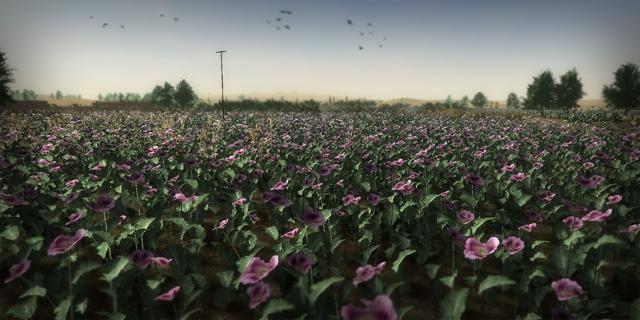 blogentry-6-007738300 1282856416_thumb.jpg