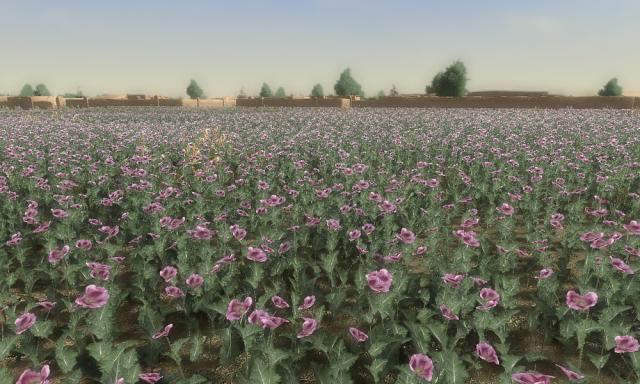 blogentry-6-090634500 1282138438_thumb.jpg