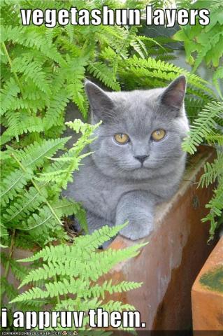 blogentry-1364-072372700 1284396611_thumb.jpg