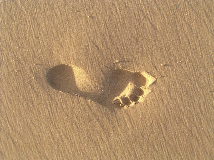 footprint-.thumb.jpg.e1859f3131ae076d0d4cc648639641c6.jpg