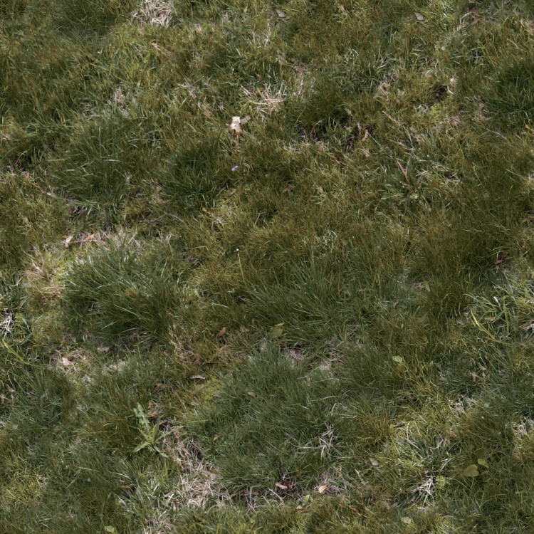 grass_big_green_out.thumb.png.c32a82f39a664293217450ff8df5765a.png