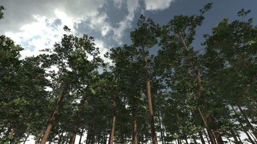 More information about "Realistic Pine Trees"