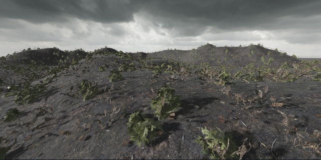 Ground Cover Test