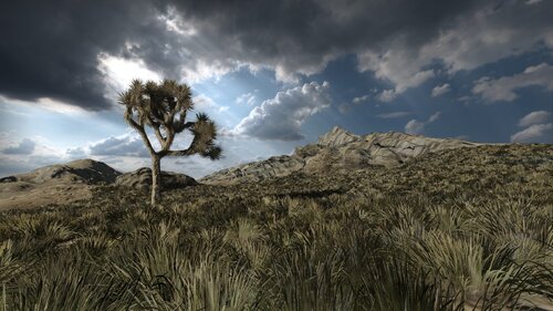More information about "Desert Sample"