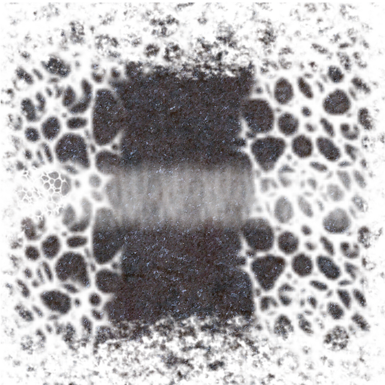 road.thumb.png.ea58a96afbe65c984295a289d7afb706.png